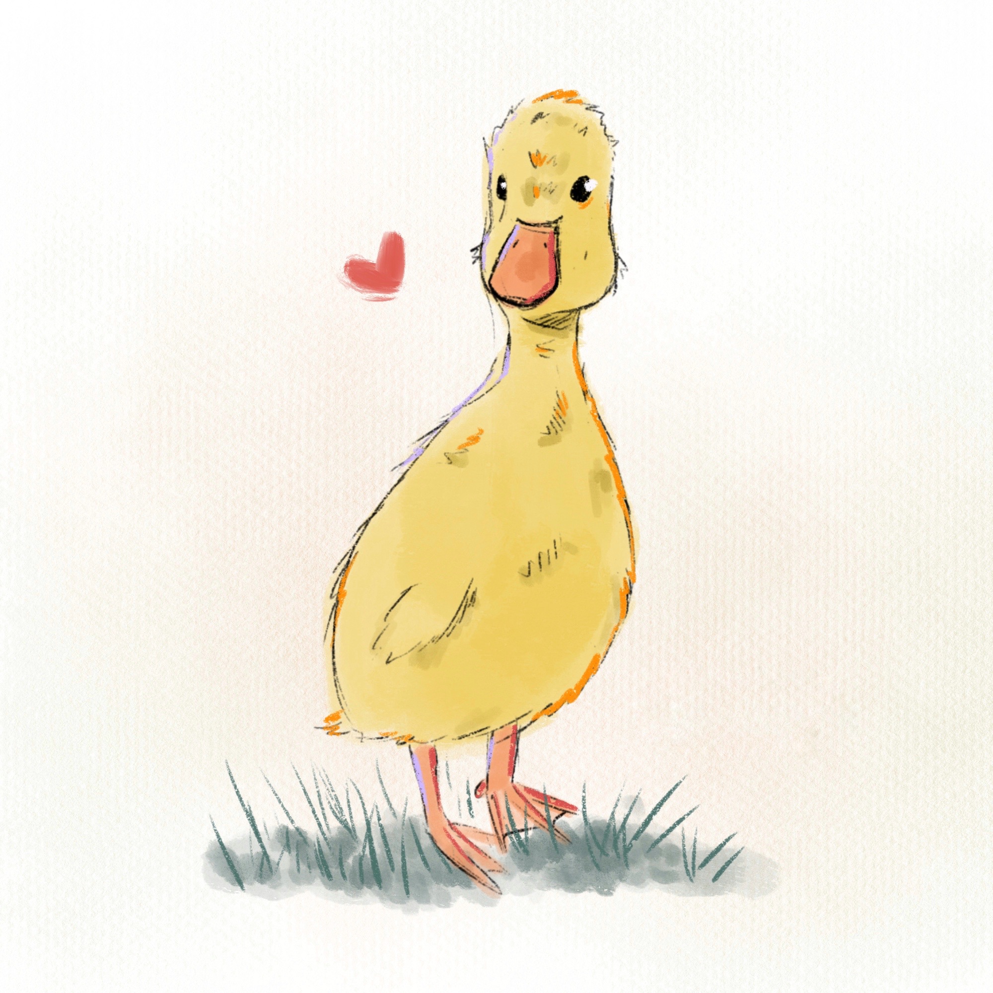 Cheerful duckling with a little heart